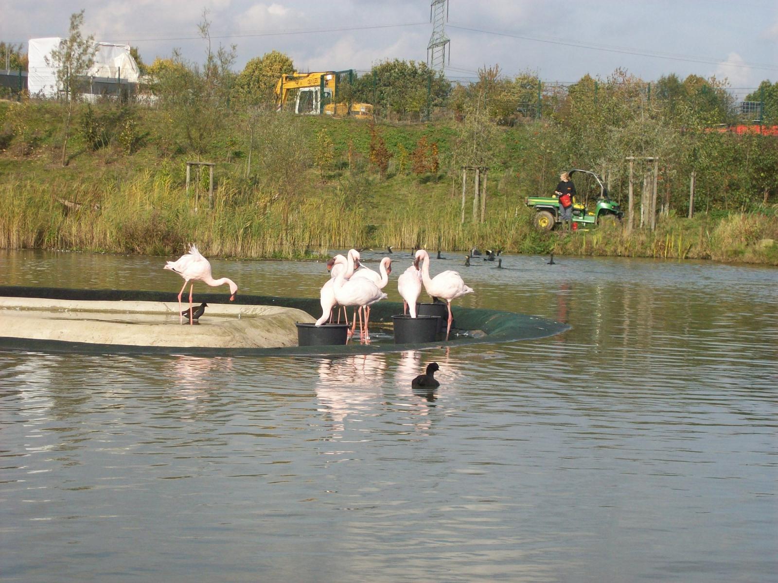 Zoom 18.10.2008-144.jpg